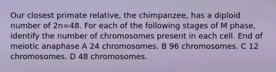 Our closest primate relative, the chimpanzee, has a diploid number of 2n=48. For each of the following stages of M phase, identify the number of chromosomes present in each cell. End of meiotic anaphase A 24 chromosomes. B 96 chromosomes. C 12 chromosomes. D 48 chromosomes.