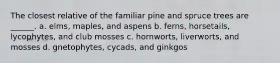 The closest relative of the familiar pine and spruce trees are ______. a. elms, maples, and aspens b. ferns, horsetails, lycophytes, and club mosses c. hornworts, liverworts, and mosses d. gnetophytes, cycads, and ginkgos