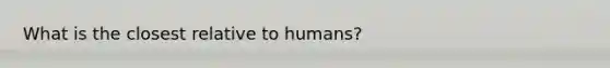 What is the closest relative to humans?