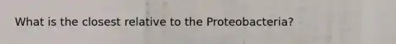 What is the closest relative to the Proteobacteria?