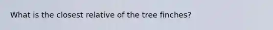 What is the closest relative of the tree finches?