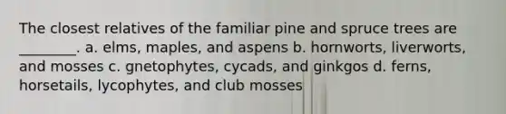 The closest relatives of the familiar pine and spruce trees are ________. a. elms, maples, and aspens b. hornworts, liverworts, and mosses c. gnetophytes, cycads, and ginkgos d. ferns, horsetails, lycophytes, and club mosses