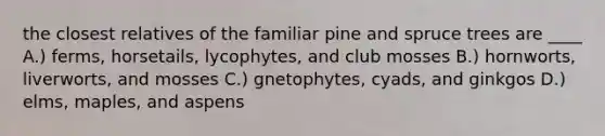 the closest relatives of the familiar pine and spruce trees are ____ A.) ferms, horsetails, lycophytes, and club mosses B.) hornworts, liverworts, and mosses C.) gnetophytes, cyads, and ginkgos D.) elms, maples, and aspens