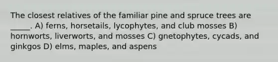 The closest relatives of the familiar pine and spruce trees are _____. A) ferns, horsetails, lycophytes, and club mosses B) hornworts, liverworts, and mosses C) gnetophytes, cycads, and ginkgos D) elms, maples, and aspens