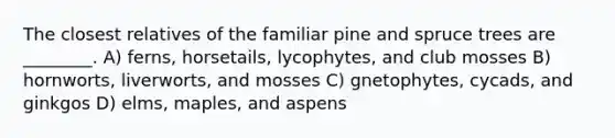 The closest relatives of the familiar pine and spruce trees are ________. A) ferns, horsetails, lycophytes, and club mosses B) hornworts, liverworts, and mosses C) gnetophytes, cycads, and ginkgos D) elms, maples, and aspens