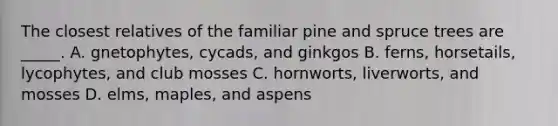 The closest relatives of the familiar pine and spruce trees are _____. A. gnetophytes, cycads, and ginkgos B. ferns, horsetails, lycophytes, and club mosses C. hornworts, liverworts, and mosses D. elms, maples, and aspens