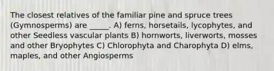 The closest relatives of the familiar pine and spruce trees (Gymnosperms) are _____. A) ferns, horsetails, lycophytes, and other Seedless vascular plants B) hornworts, liverworts, mosses and other Bryophytes C) Chlorophyta and Charophyta D) elms, maples, and other Angiosperms