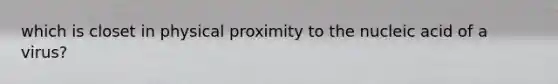 which is closet in physical proximity to the nucleic acid of a virus?