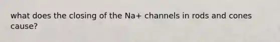 what does the closing of the Na+ channels in rods and cones cause?