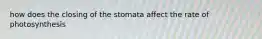 how does the closing of the stomata affect the rate of photosynthesis