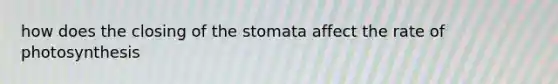 how does the closing of the stomata affect the rate of photosynthesis