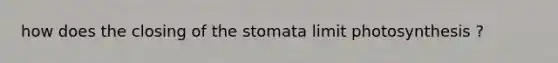 how does the closing of the stomata limit photosynthesis ?