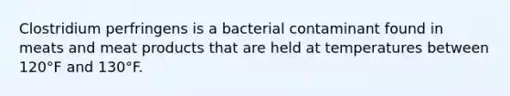 Clostridium perfringens is a bacterial contaminant found in meats and meat products that are held at temperatures between 120°F and 130°F.