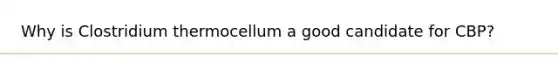 Why is Clostridium thermocellum a good candidate for CBP?