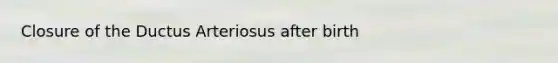 Closure of the Ductus Arteriosus after birth