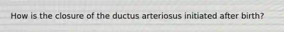 How is the closure of the ductus arteriosus initiated after birth?