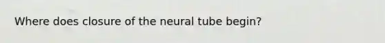 Where does closure of the neural tube begin?