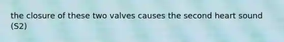 the closure of these two valves causes the second heart sound (S2)