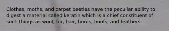 Clothes, moths, and carpet beetles have the peculiar ability to digest a material called keratin which is a chief constituent of such things as wool, for, hair, horns, hoofs, and feathers.