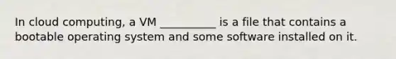 In cloud computing, a VM __________ is a file that contains a bootable operating system and some software installed on it.