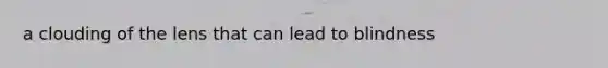 a clouding of the lens that can lead to blindness