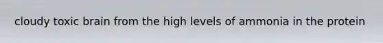 cloudy toxic brain from the high levels of ammonia in the protein