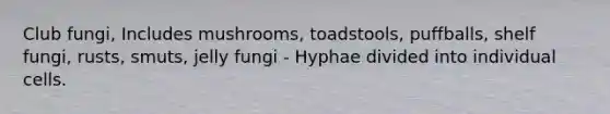 Club fungi, Includes mushrooms, toadstools, puffballs, shelf fungi, rusts, smuts, jelly fungi - Hyphae divided into individual cells.