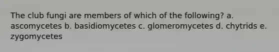 The club fungi are members of which of the following? a. ascomycetes b. basidiomycetes c. glomeromycetes d. chytrids e. zygomycetes