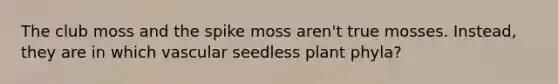 The club moss and the spike moss aren't true mosses. Instead, they are in which vascular seedless plant phyla?