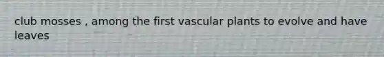 club mosses , among the first <a href='https://www.questionai.com/knowledge/kbaUXKuBoK-vascular-plants' class='anchor-knowledge'>vascular plants</a> to evolve and have leaves