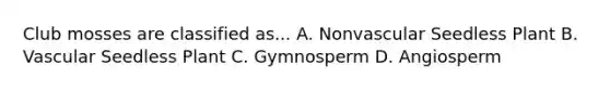 Club mosses are classified as... A. Nonvascular Seedless Plant B. Vascular Seedless Plant C. Gymnosperm D. Angiosperm