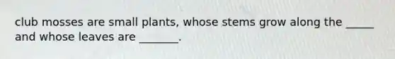 club mosses are small plants, whose stems grow along the _____ and whose leaves are _______.