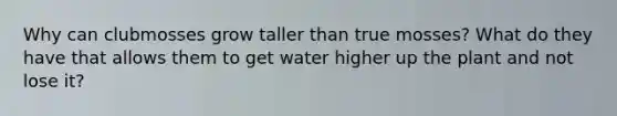 Why can clubmosses grow taller than true mosses? What do they have that allows them to get water higher up the plant and not lose it?