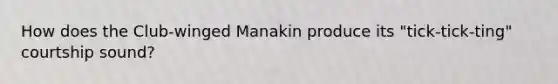 How does the Club-winged Manakin produce its "tick-tick-ting" courtship sound?