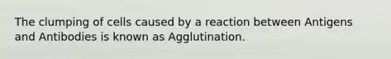 The clumping of cells caused by a reaction between Antigens and Antibodies is known as Agglutination.