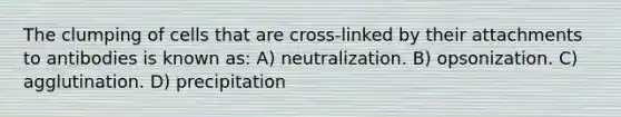 The clumping of cells that are cross-linked by their attachments to antibodies is known as: A) neutralization. B) opsonization. C) agglutination. D) precipitation