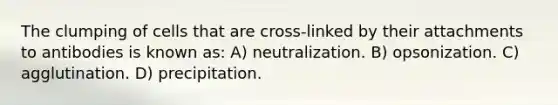 The clumping of cells that are cross-linked by their attachments to antibodies is known as: A) neutralization. B) opsonization. C) agglutination. D) precipitation.