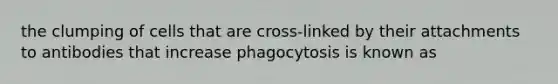 the clumping of cells that are cross-linked by their attachments to antibodies that increase phagocytosis is known as