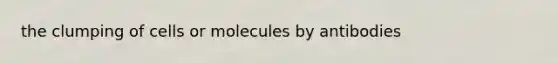 the clumping of cells or molecules by antibodies