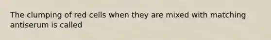 The clumping of red cells when they are mixed with matching antiserum is called