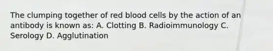 The clumping together of red blood cells by the action of an antibody is known as: A. Clotting B. Radioimmunology C. Serology D. Agglutination