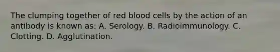 The clumping together of red blood cells by the action of an antibody is known​ as: A. Serology. B. Radioimmunology. C. Clotting. D. Agglutination.