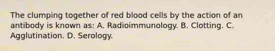 The clumping together of red blood cells by the action of an antibody is known​ as: A. Radioimmunology. B. Clotting. C. Agglutination. D. Serology.