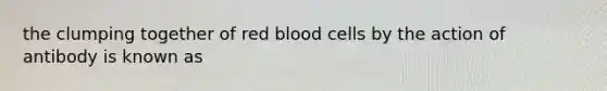 the clumping together of red blood cells by the action of antibody is known as