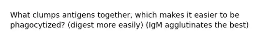 What clumps antigens together, which makes it easier to be phagocytized? (digest more easily) (IgM agglutinates the best)