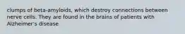 clumps of beta-amyloids, which destroy connections between nerve cells. They are found in the brains of patients with Alzheimer's disease