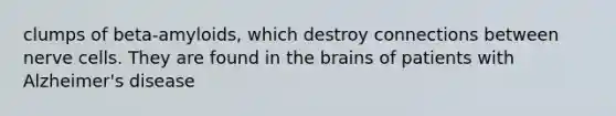 clumps of beta-amyloids, which destroy connections between nerve cells. They are found in the brains of patients with Alzheimer's disease