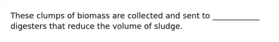 These clumps of biomass are collected and sent to ____________ digesters that reduce the volume of sludge.