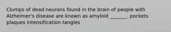 Clumps of dead neurons found in <a href='https://www.questionai.com/knowledge/kLMtJeqKp6-the-brain' class='anchor-knowledge'>the brain</a> of people with Alzheimer's disease are known as amyloid _______. pockets plaques intensification tangles