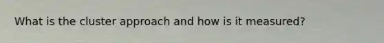 What is the cluster approach and how is it measured?
